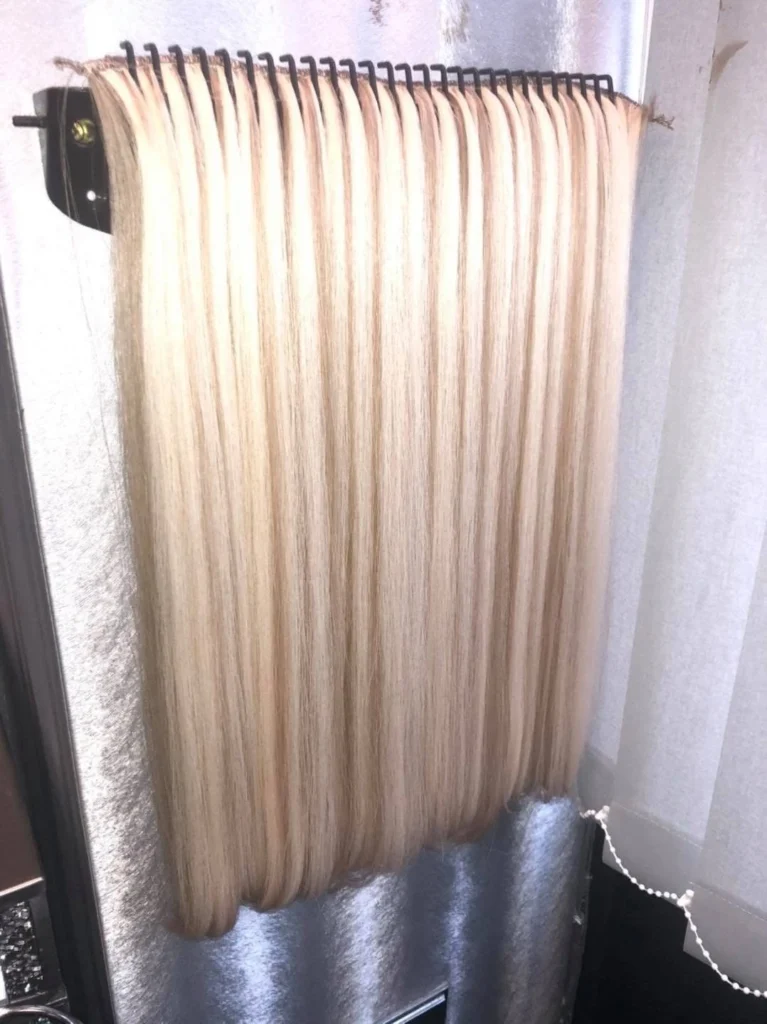 Platinium hair (1)